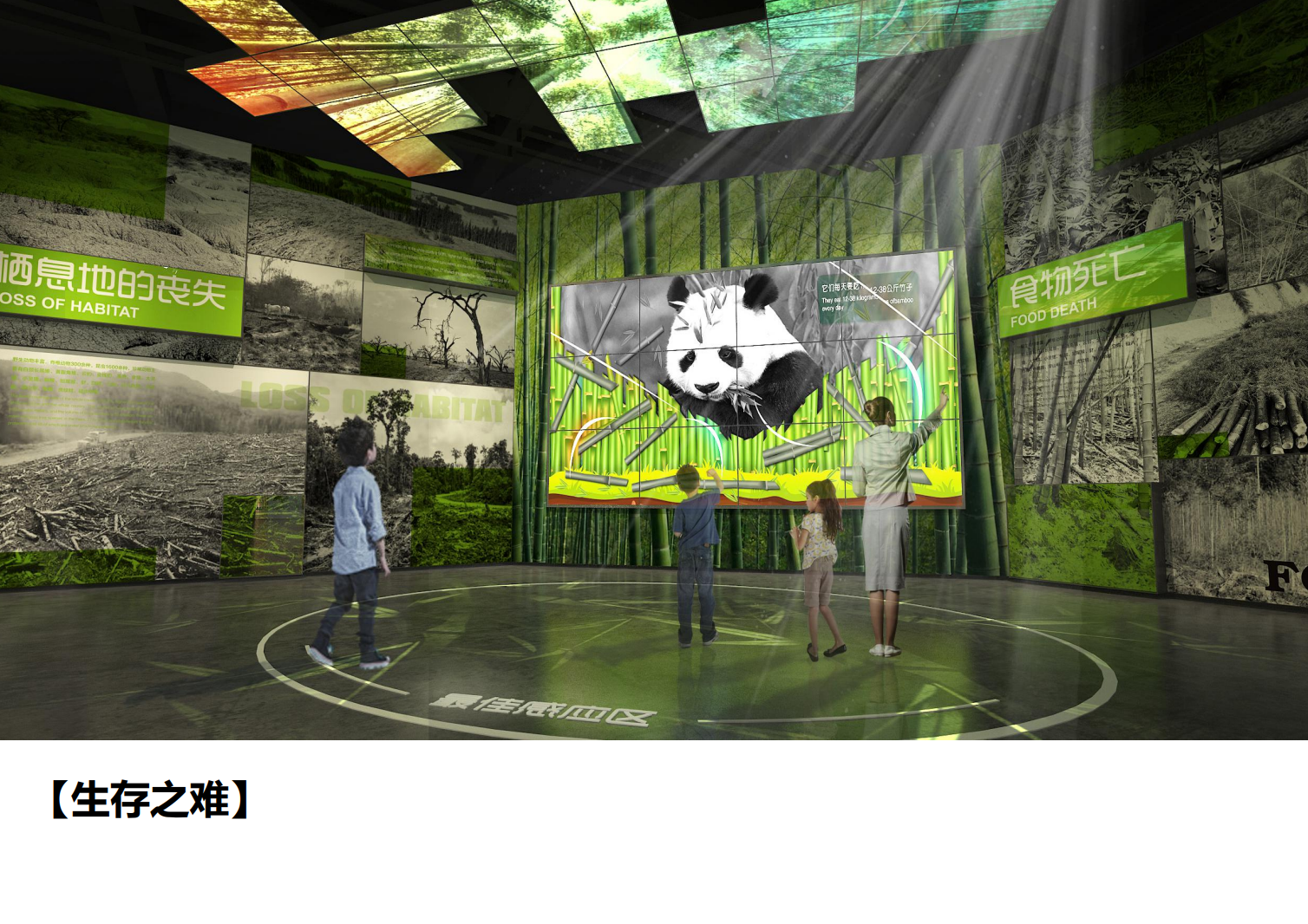 熊猫科技馆建筑与策展概念方案 - 项目展示图7